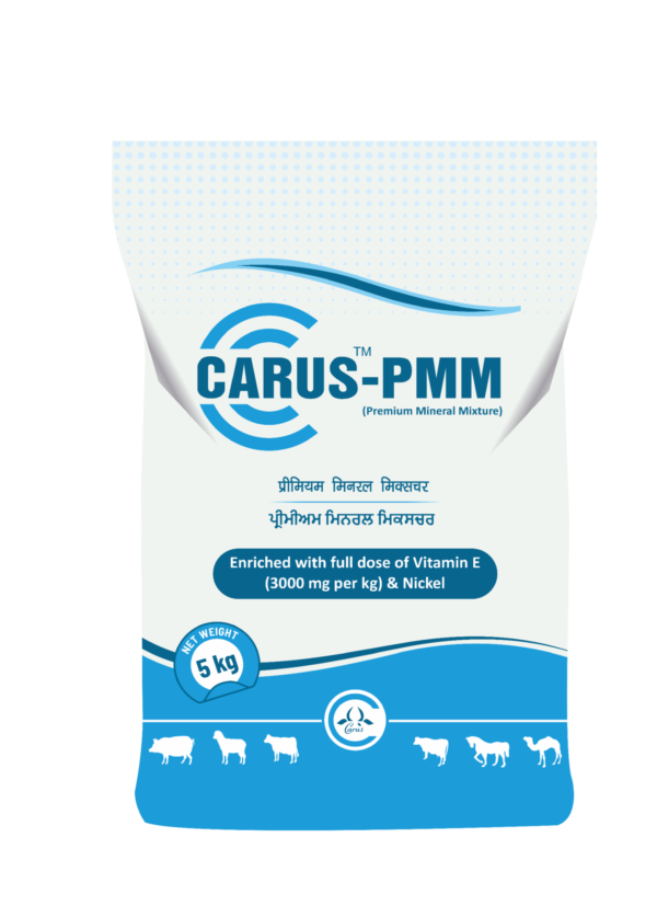 Carus PMM